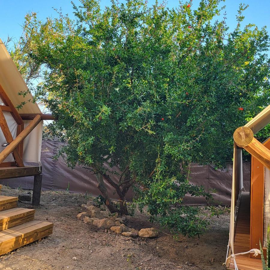 Boho Glamping * Cadiz