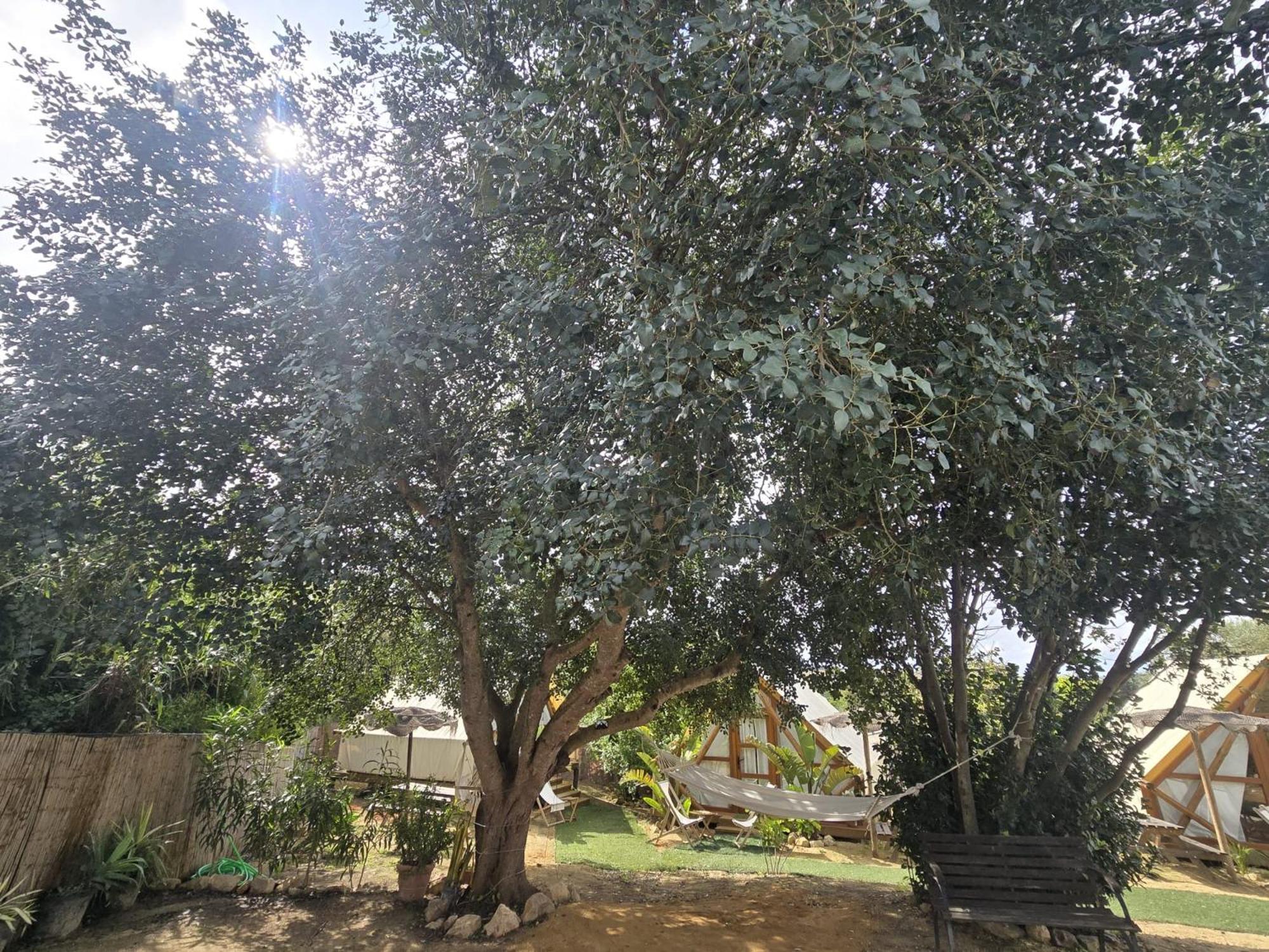 Boho Glamping Campsite Cadiz